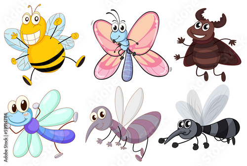 Six flying insects © GraphicsRF
