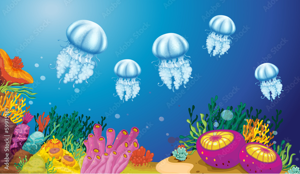 Obraz premium Underwater creatures