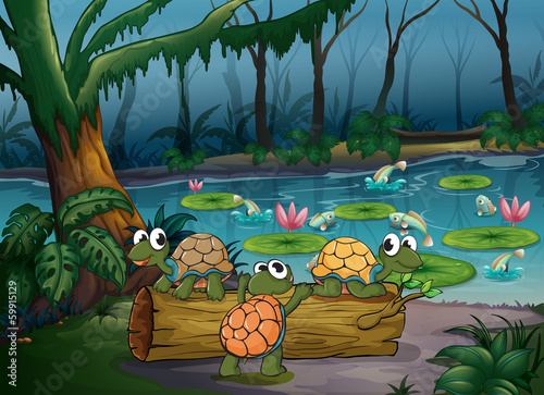 A forest with turtles and fishes at the pond