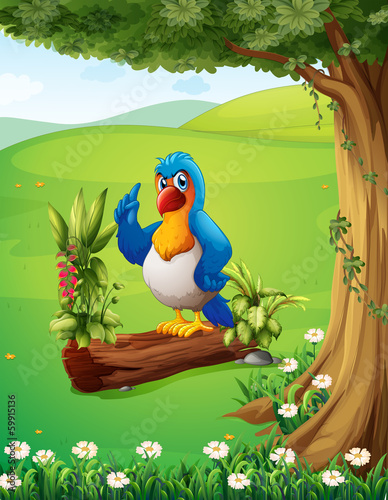 A parrot above the trunk under the tree