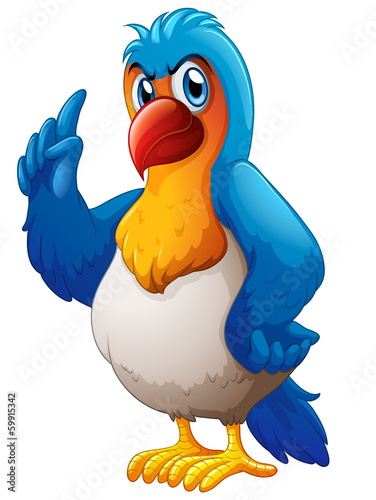 A colorful parrot