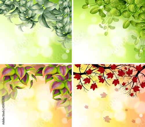 Four border designs