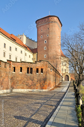 Wawel Royal Castle #59915733