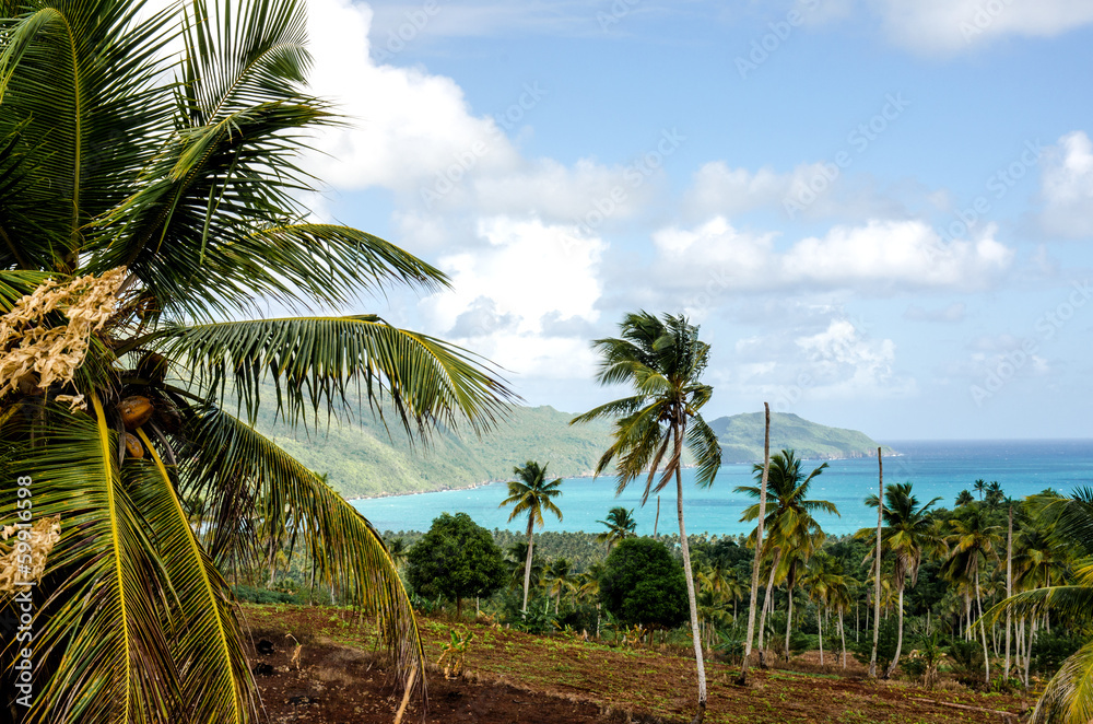 Naklejka premium Caribbean: Lonely beautiful beach on Samana :)