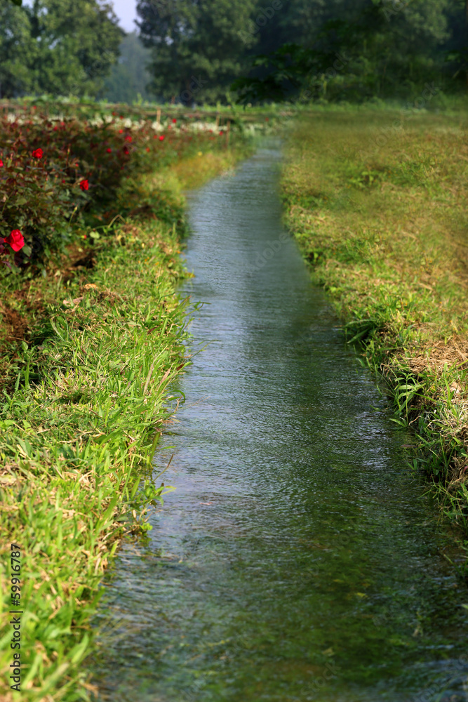 Irrigation system in flower garden Irrigation system in flower garden
