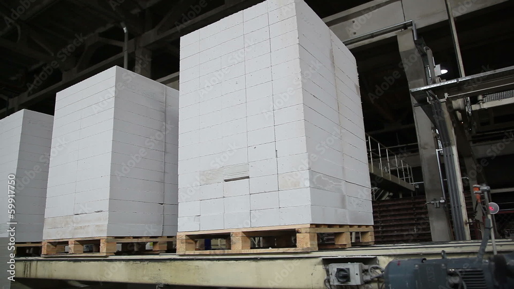 transportation of bricks at the factory 5 transportation of bricks at the factory 5