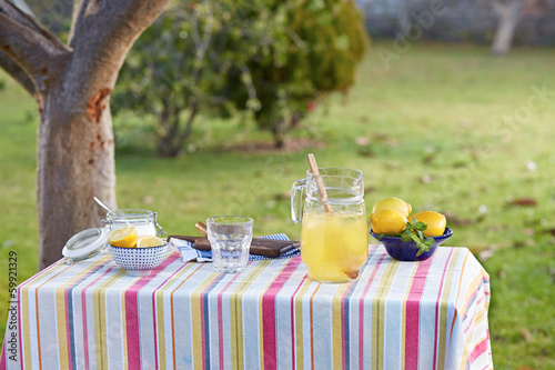 Preparing homemade lemonade in garden table