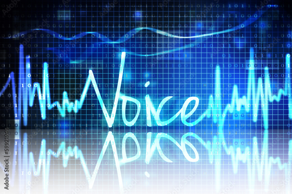 voice verification voice verification