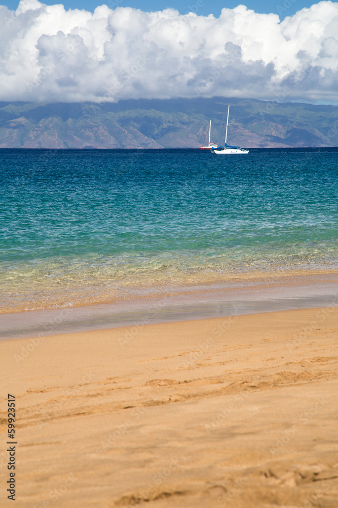 Fototapeta premium Hawaii - Maui