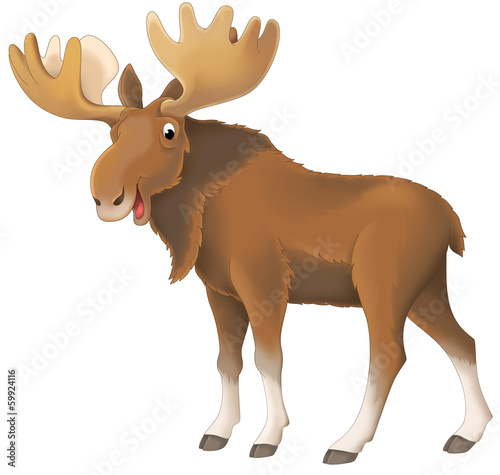 Cartoon animal - illustration for the children