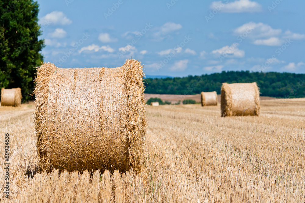 Hay roll