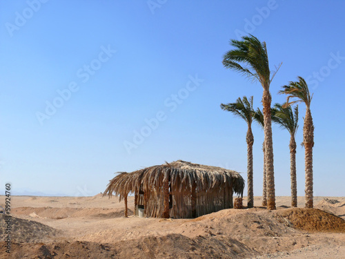 Shelter of palm leaves in the desert.