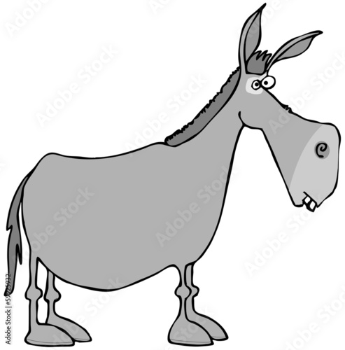 Fototapet Gray donkey