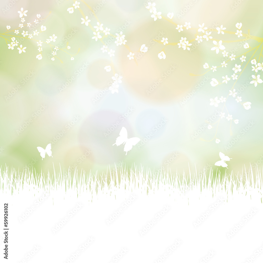 Fototapeta premium Colorful summer spring background with flowers and butterfly