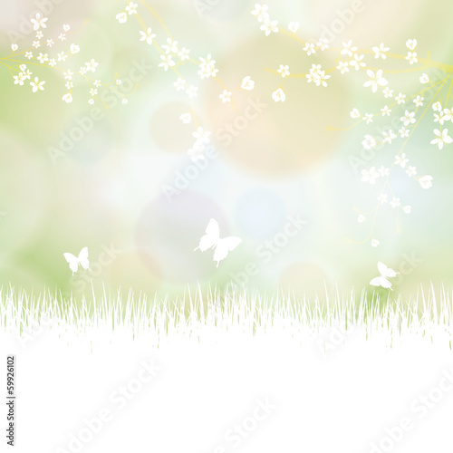 Colorful summer spring background with flowers and butterfly