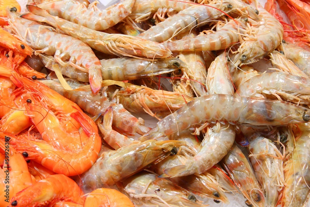 Seafood market in Boqueria, Barcelona Seafood market in Boqueria, Barcelona