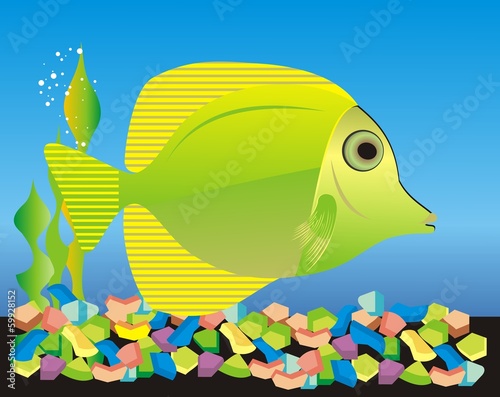 Acuario_8
