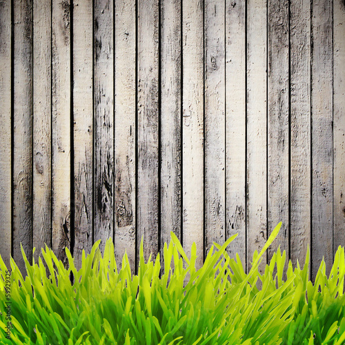 Grass near wall photo