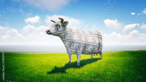 Foto Cash Cow