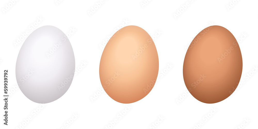Chicken eggs. Vector illustration. Chicken eggs. Vector illustration.