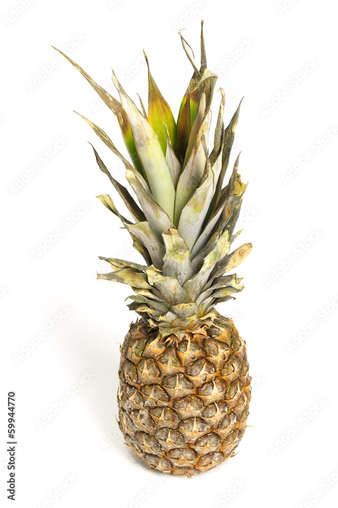 Fototapeta premium Pineapple