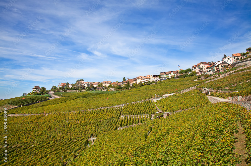 Lavaux region