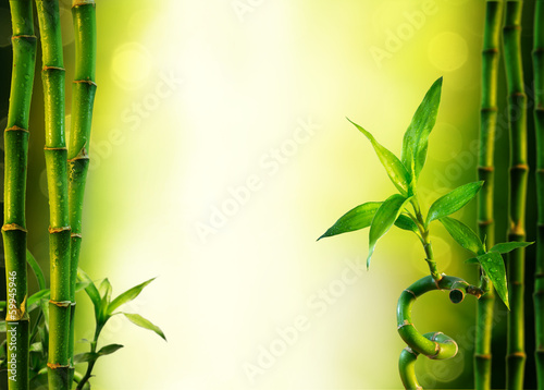 background with bamboo for spa treatment - olive green