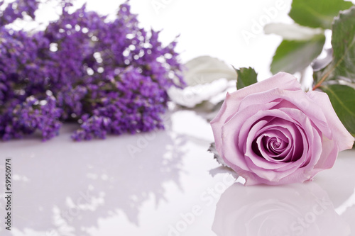 Fototapeta Naklejka Na Ścianę i Meble -  beautiful lavander and pink rose on .bright background