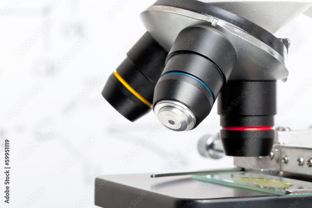 Science education Science education
