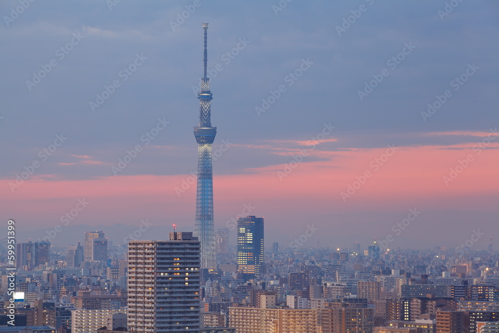 View of Tokyo Sky Tree