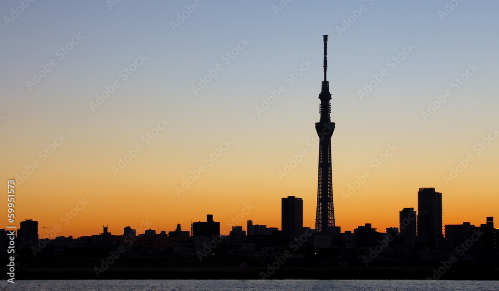 Obraz premium tokyo skytree with Mt Fuji , sihouette skyline
