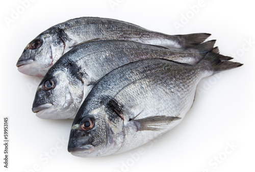 Fish dorado isolated on white background with clipping path