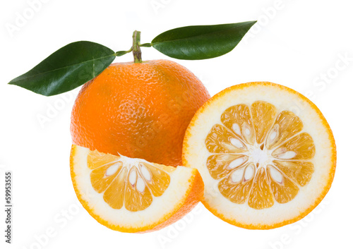 Bitter orange (Seville orange, bigarade orange)