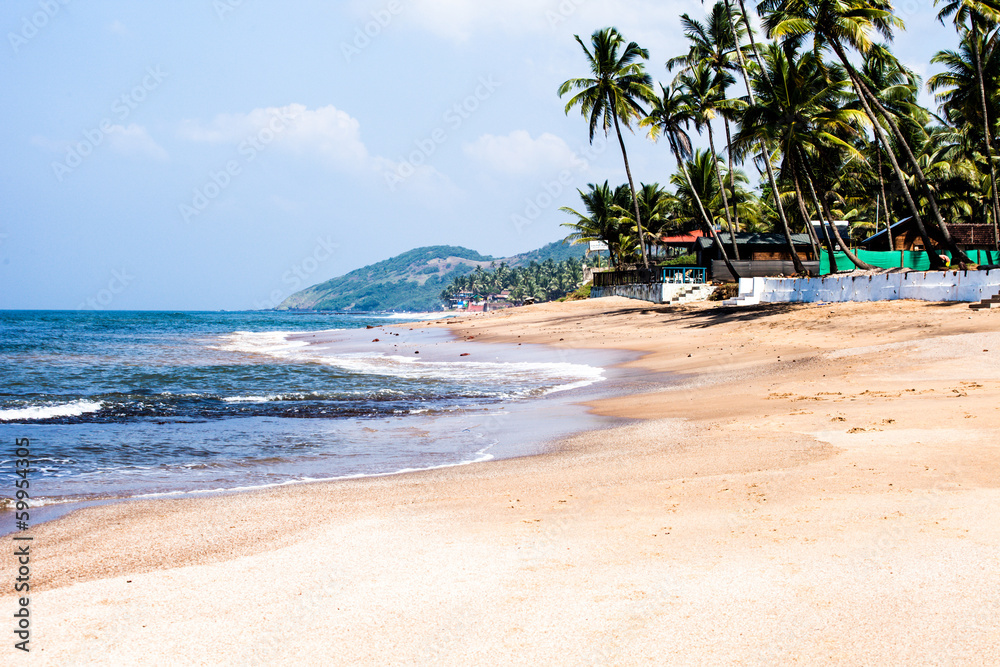Anjuna beach panorama with white sand and palms,Goa,India