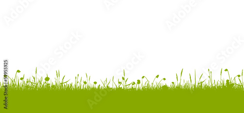 Grüne Blumenwiese