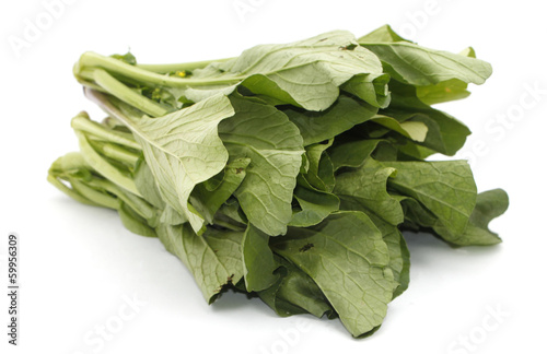 Mustard greens vegetable over white background