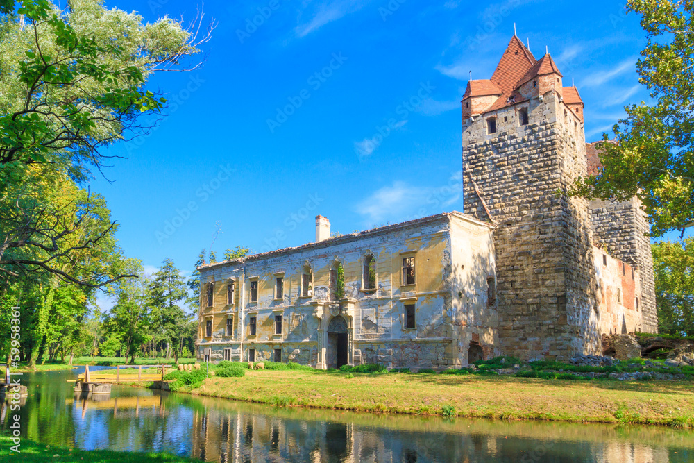 Obraz premium Pottendorf Castle Ruins near Eisenstadt, Austria