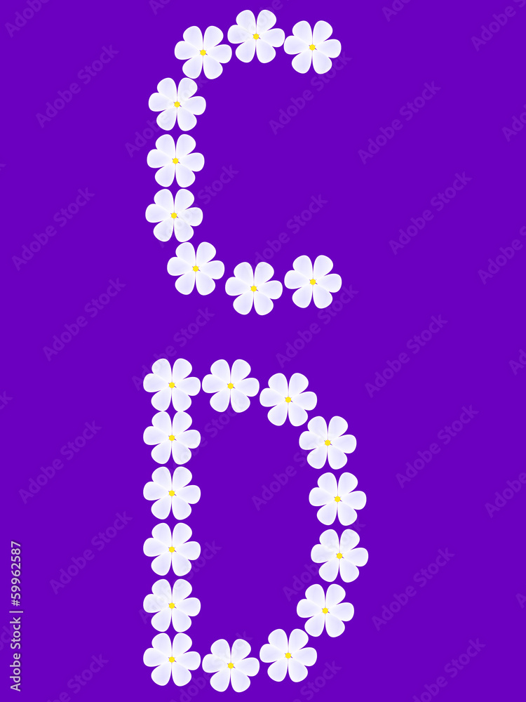 flowers letter c,d - vector
