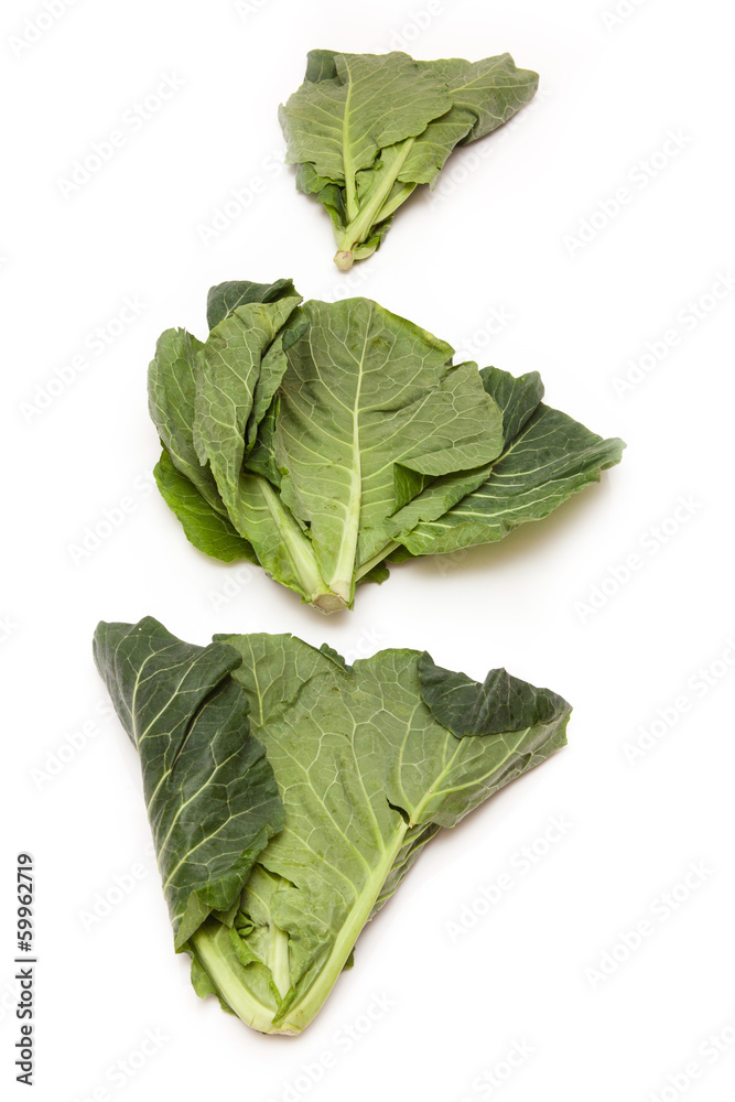 Spring Greens (Brassica oleracea ) isolated on a white studio ba Spring Greens (Brassica oleracea ) isolated on a white studio ba