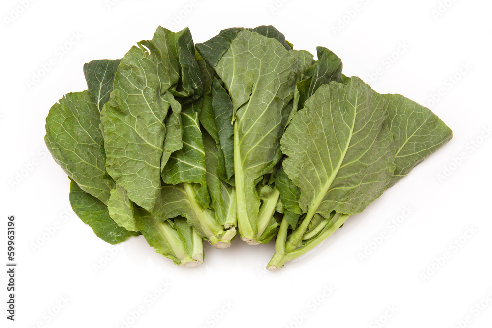 Spring Greens (Brassica oleracea ) isolated on a white studio ba Spring Greens (Brassica oleracea ) isolated on a white studio ba