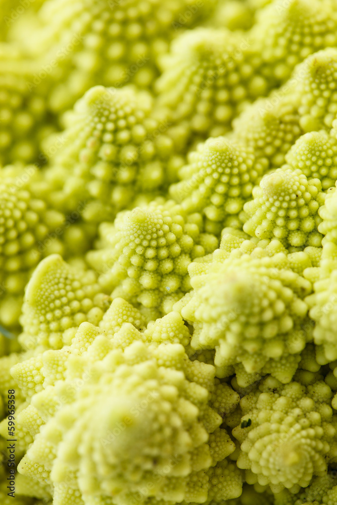 romanesko broccoli