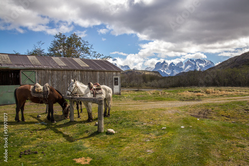 Horse and Stable - Torres del Paine Chile © robertprice87