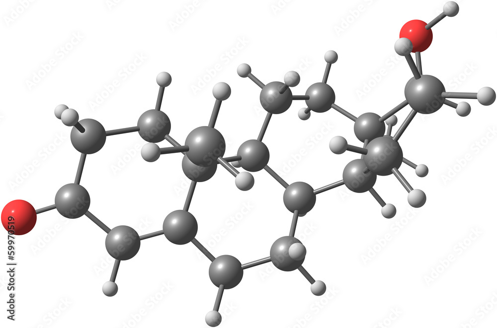 Molecule of Testosterone Molecule of Testosterone