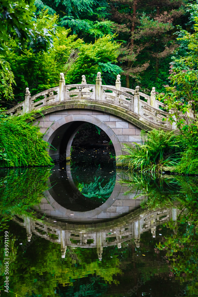 Fototapeta premium Beautiful Japanese garden