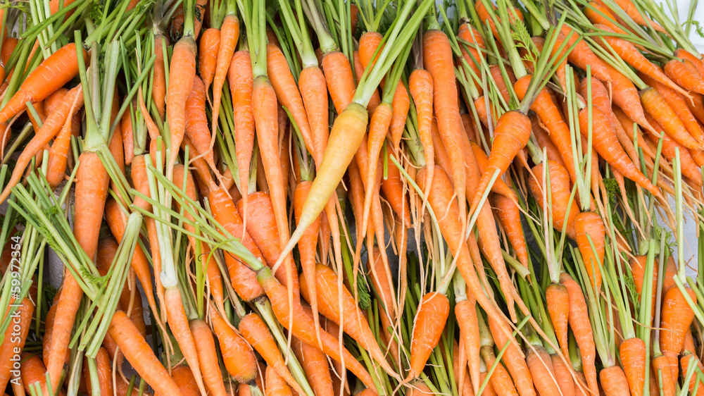 The pile of carrots