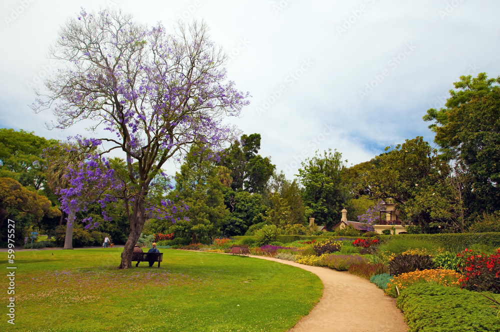 Naklejka premium Botanic Garden in Melbourne, Victoria, Australia