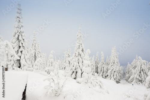winter landscape, Orlicke Mountains, Czech Republic © Richard Semik