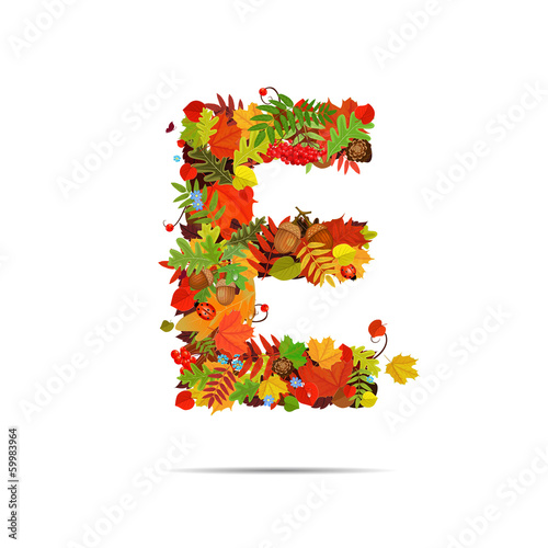 Letter from autumn colorful leaves E