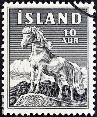 Icelandic Pony (Iceland 1958) photo