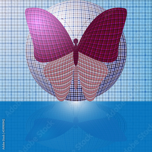butterfly on the ball